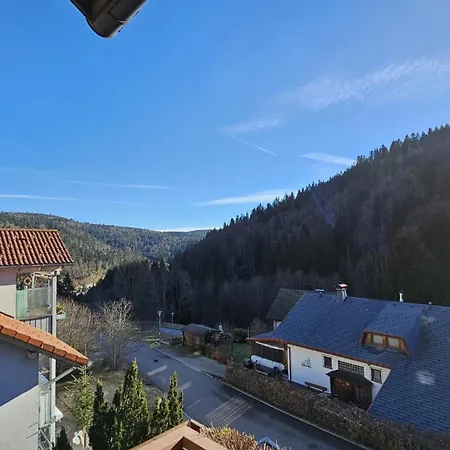 Apartment Todtmoos Traumblick Mit Balkon Eksteriør billede